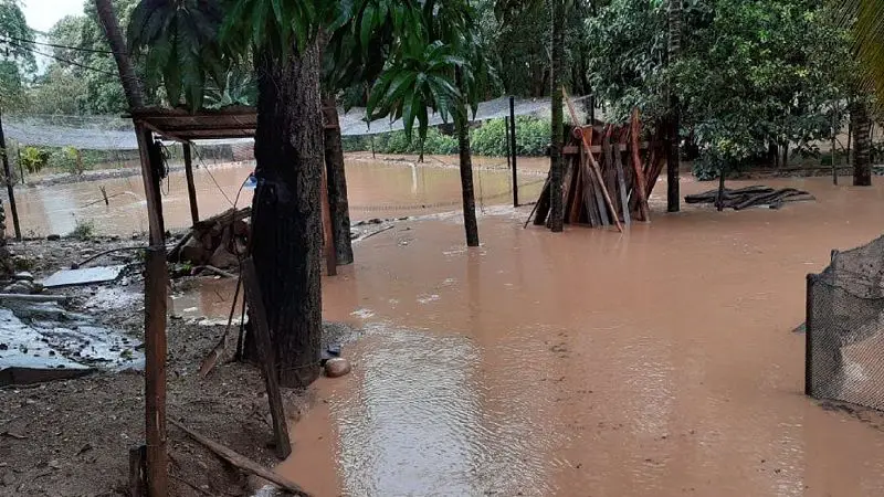 Primera temporada de lluvias deja más de 360 emergencias en el país