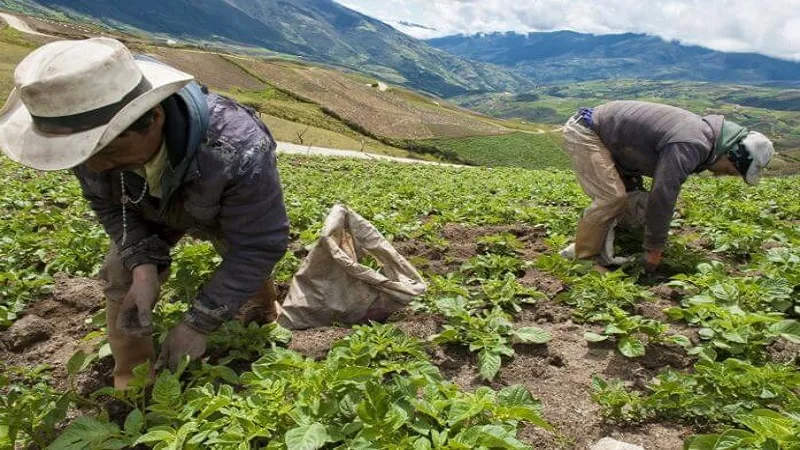 “El campo está sumido en una profunda pobreza”