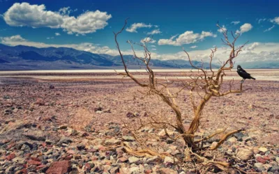 Temperatura del planeta superó en 1,54 °C el nivel de referencia