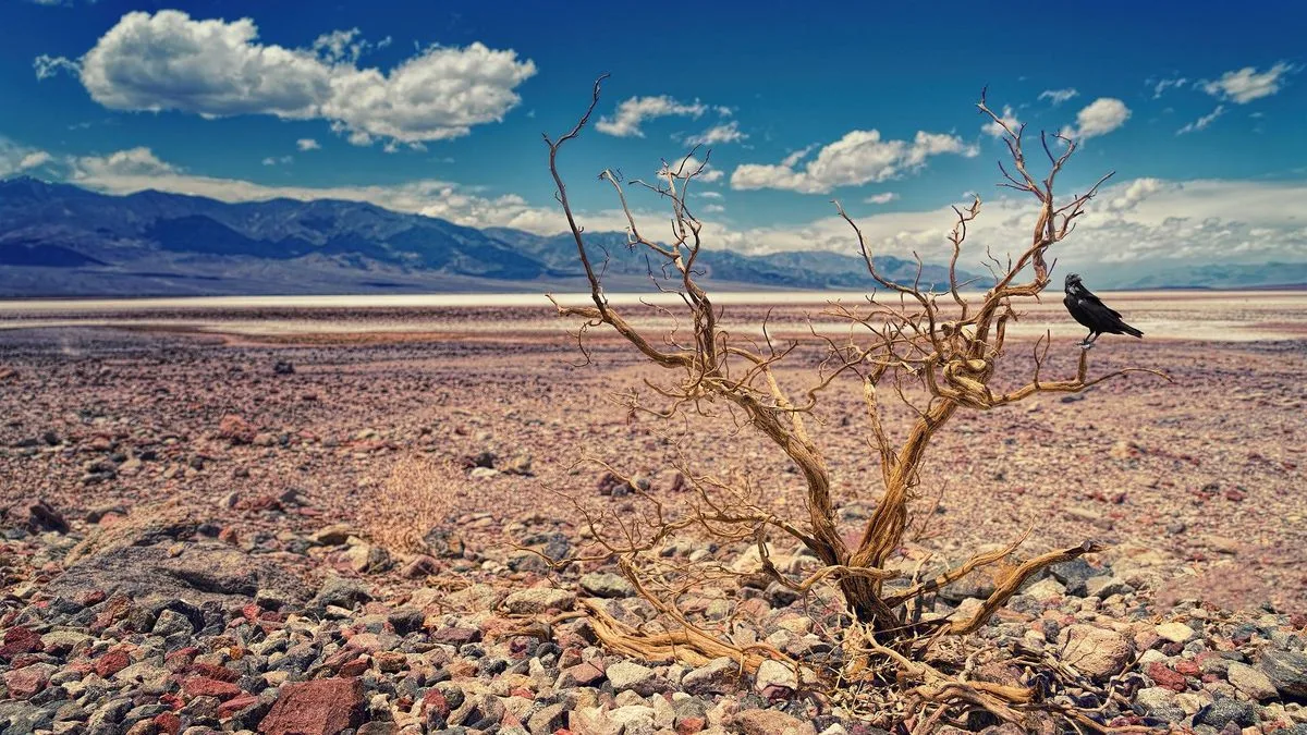 Temperatura del planeta superó en 1,54 °C el nivel de referencia