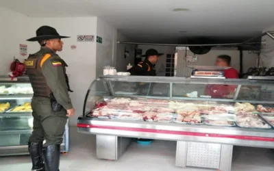 Incautan 140 kilos de carne en Timaná, Huila