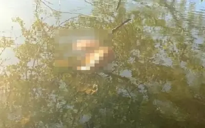Fue encontrado un cadáver en la laguna de El Juncal, en Palermo