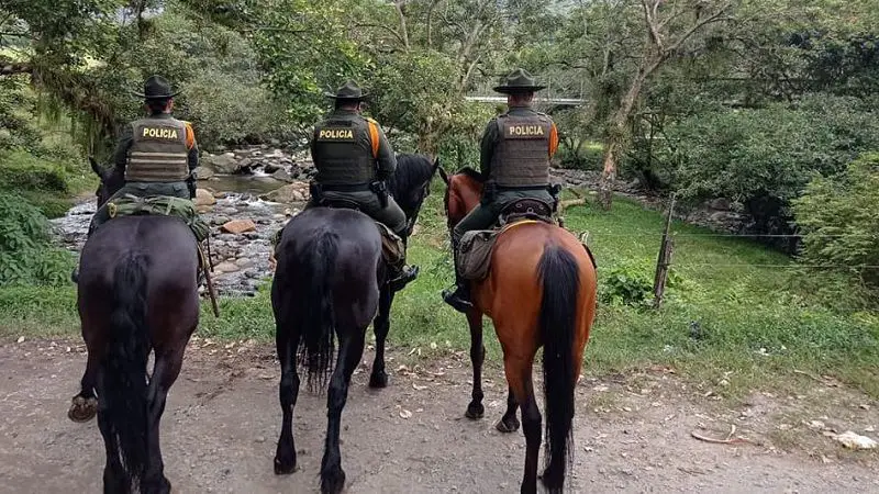 Procuraduría pide no utilizar caballos de la Policía en manifestaciones