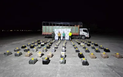 Incautados 555 kilogramos de marihuana escondidos en cargamento de plátanos