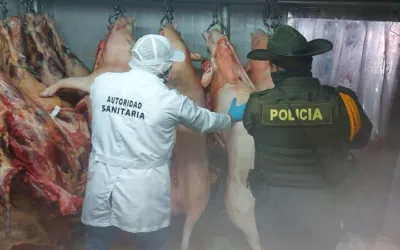 Decomisaron carne de cerdo en descomposición en Neiva