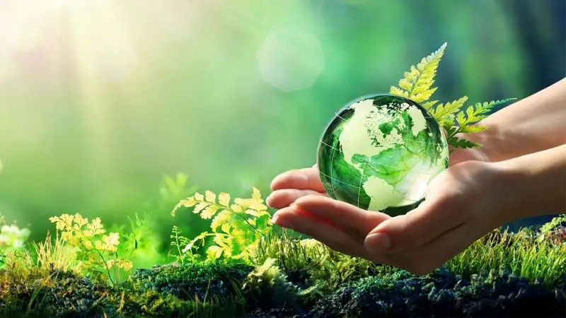 Transición ecológica tendrá que ser ‘justa’ para que sea viable