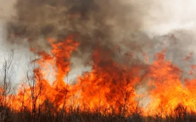 Partículas en el aire generadas por incendios causaron cerca de 20 mil muertes prematuras en Estados Unidos