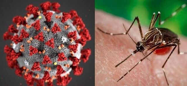 No confunda los síntomas del dengue con los del Covid-19