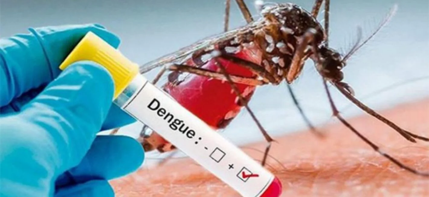 Persiste el dengue en el Huila