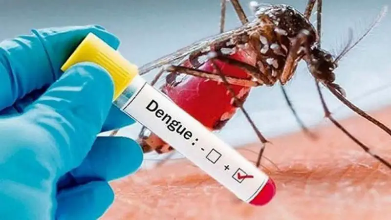 Vuelven a aumentar las cifras de casos de dengue en Neiva
