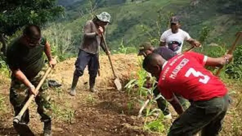 Excombatientes de las FARC reciben más de 100 hectáreas para proyectos productivos