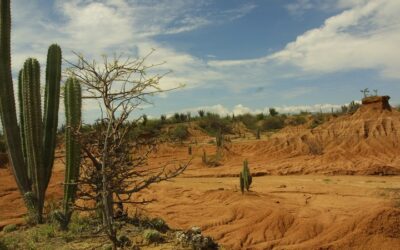 Planes para hacer en el desierto de la Tatacoa