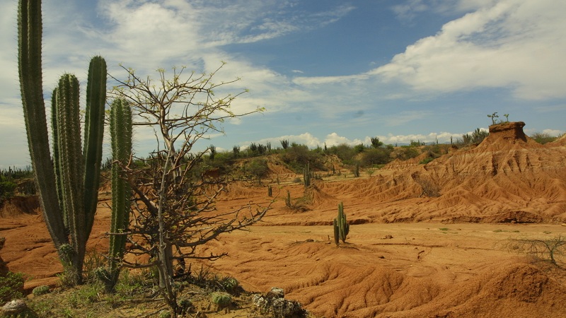 Planes para hacer en el desierto de la Tatacoa