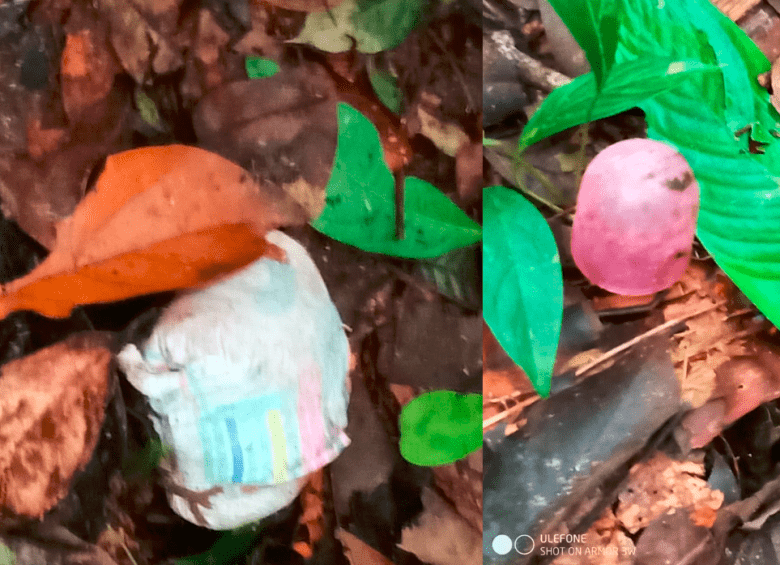 Descubrieron nuevas pistas de los niños perdidos en selva del Guaviare