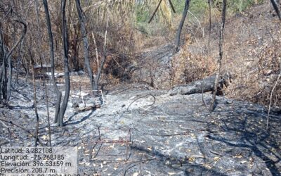 El incendio arrastró con todo en Ibaimaka