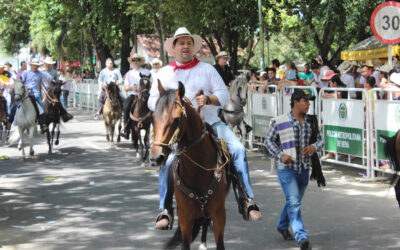 En octubre se continuará debate para regular las cabalgatas