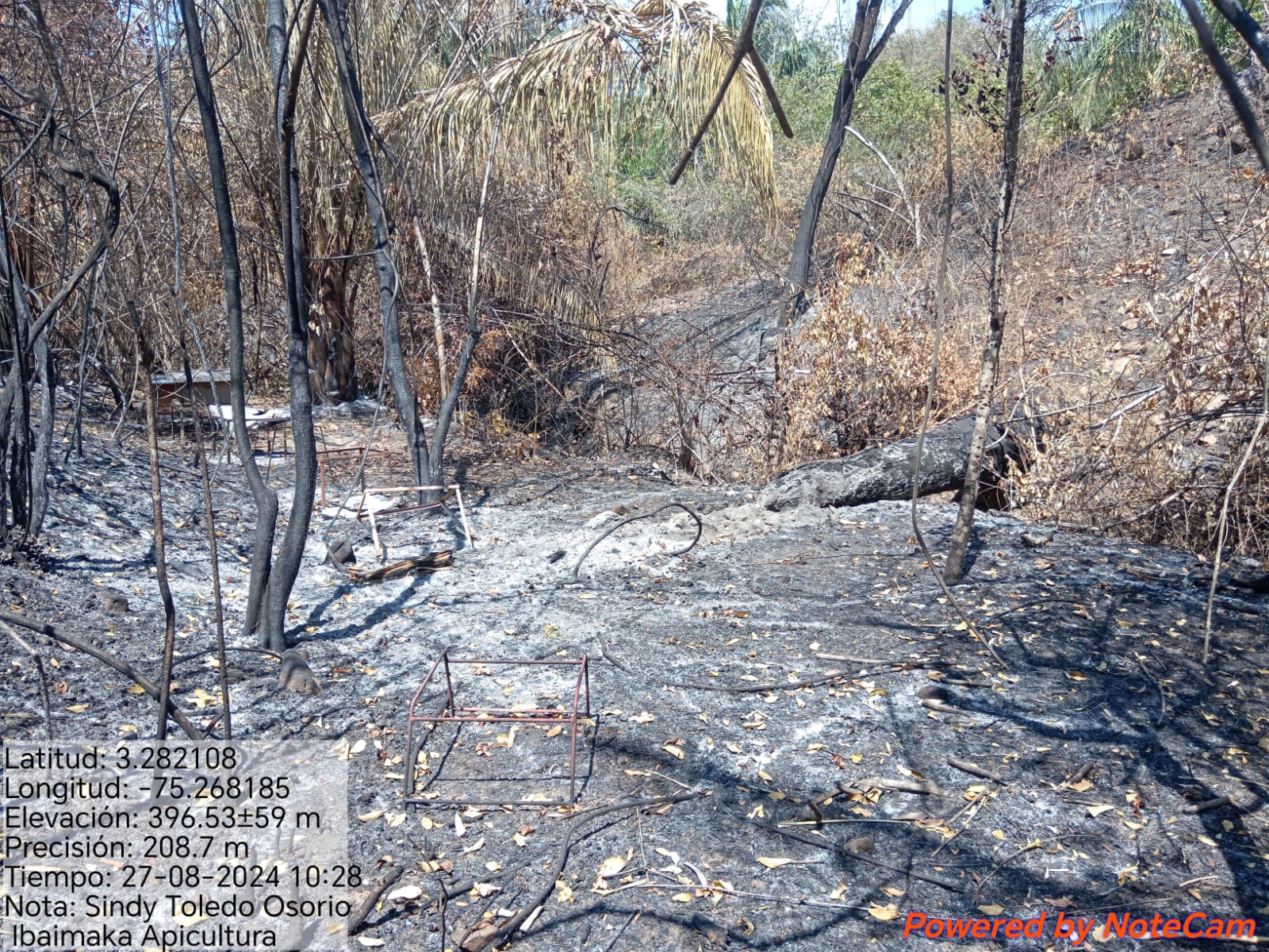 El incendio arrastró con todo en Ibaimaka