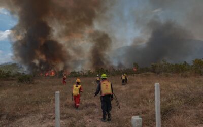 La lucha de Villa Juncal contra el fuego