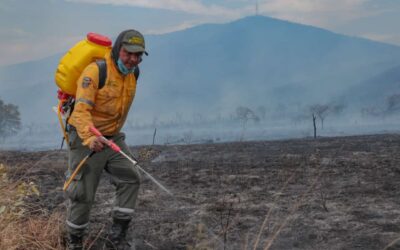 El impacto ambiental es incalculable en Palermo