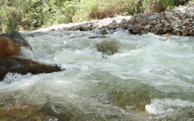 ‘El río Las Ceibas está en su límite’