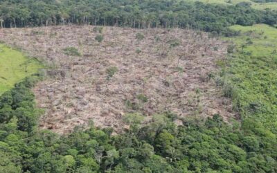 Colombia cayó cuatro puestos en el CCPI