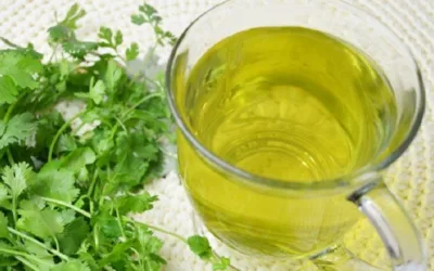 Té de cilantro puede ayudar a reducir el colesterol