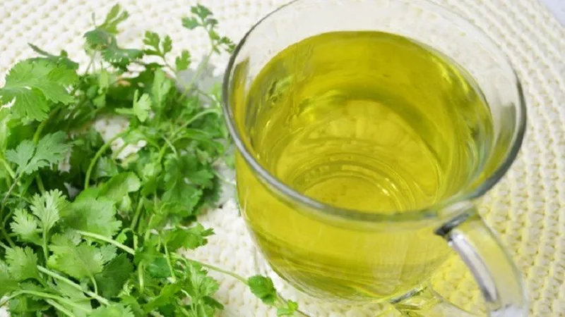 Té de cilantro puede ayudar a reducir el colesterol