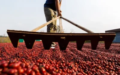 Una Rhua Ambiental: mujeres produciendo orgánico