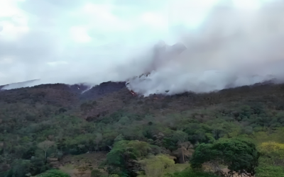 Ocho incendios activos arrasan con bosques en el Huila