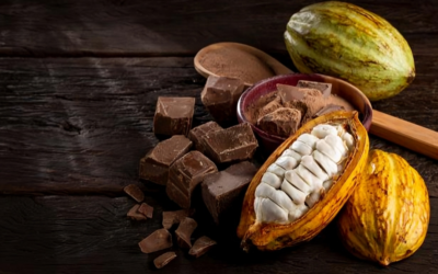 “El cacao tiene tanto potencial como el café”