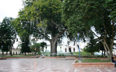 Violencia de género e intolerancia generaron homicidio en Saladoblanco