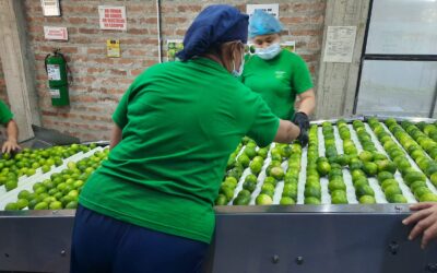 ‘El limón es una gran oportunidad para el Huila’