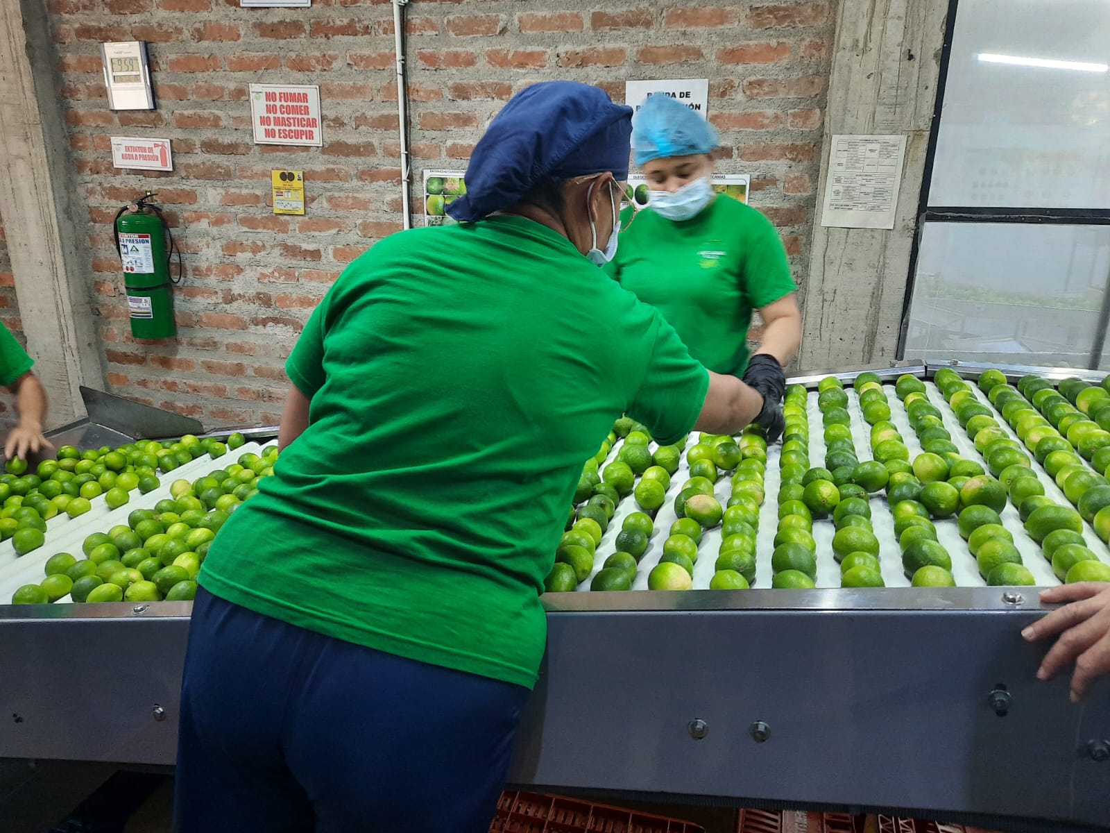 ‘El limón es una gran oportunidad para el Huila’