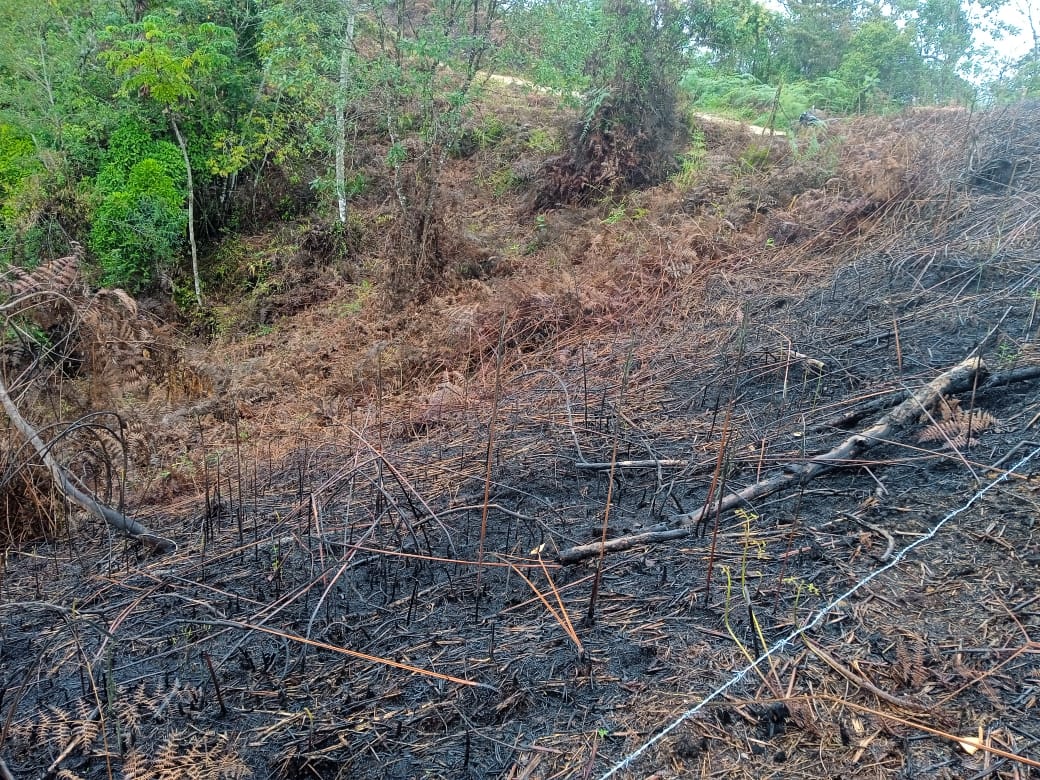 Ecocidio afecta acueducto veredal de Obando en San Agustín