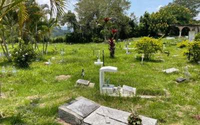 ¿Hurto o necrofilia en cementerio de Timaná?