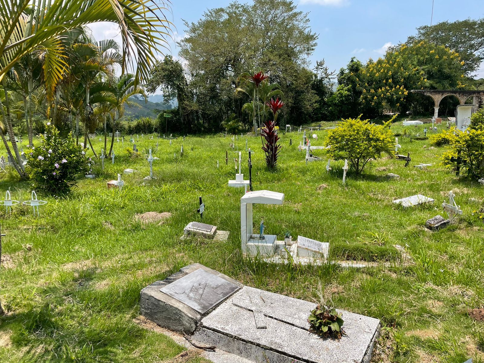 ¿Hurto o necrofilia en cementerio de Timaná?