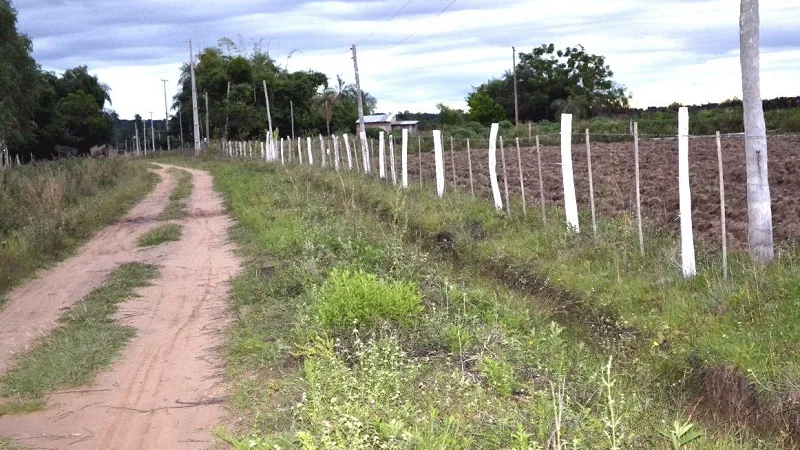 A responder por acceder carnalmente a menor de 13 años