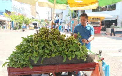Diecisiete años vendiendo mamoncillos en Neiva