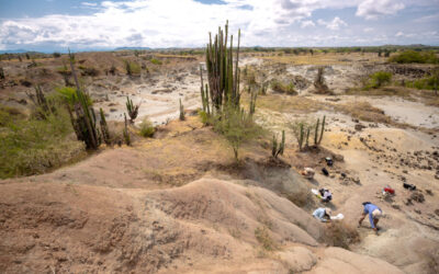 Yacimiento en el desierto de la Tatacoa fue reconocido por la Unesco como patrimonio geológico