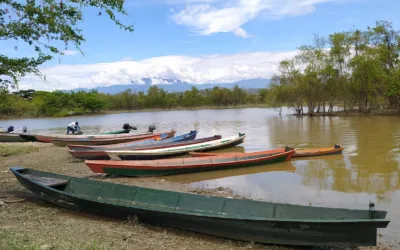 Pescadores artesanales podrán industrializarse