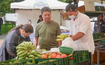 DANE revela importante descenso en los precios de algunos alimentos