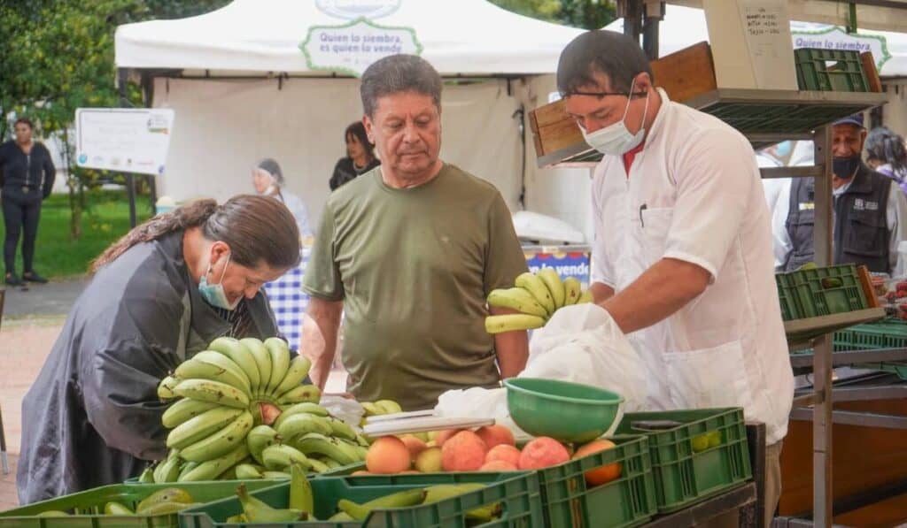 DANE revela importante descenso en los precios de algunos alimentos