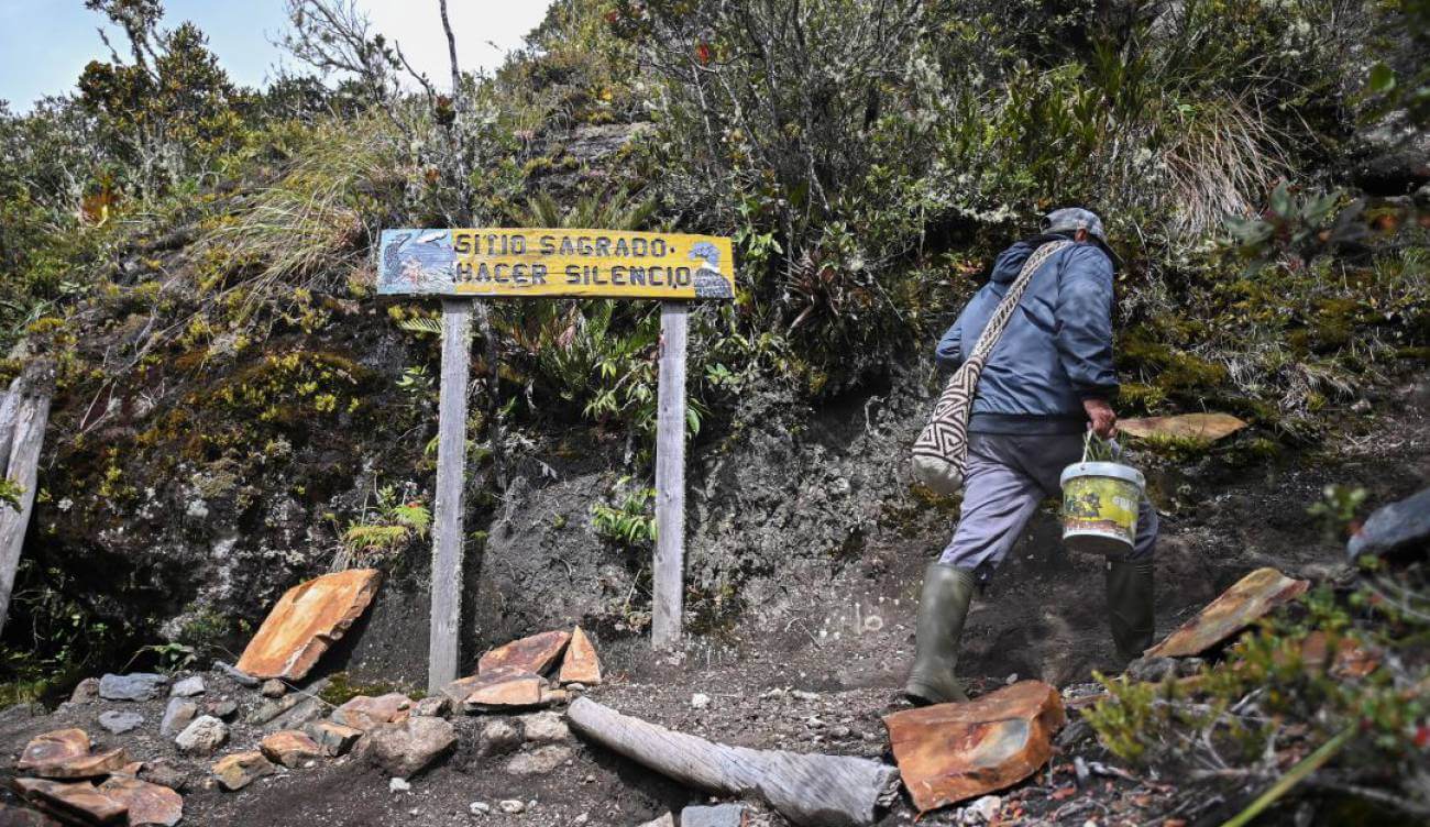 Colombia deshonroso primer lugar en asesinato de líderes ambientales en 2020