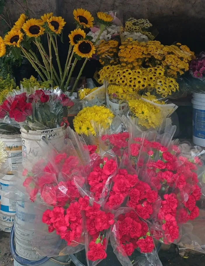 Vendedores de flores del Cementerio Central en Neiva escépticos sobre reubicación | Noticias de Buenaventura, Colombia y el Mundo