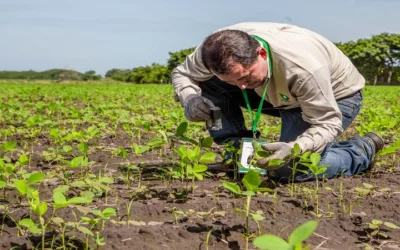 Colombia y Alemania acuerdan capacidades agropecuarias por medio de Minagricultura