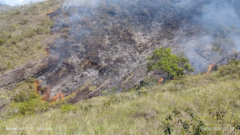 Incendio forestal en Palermo ha consumido más de 700 hectáreas