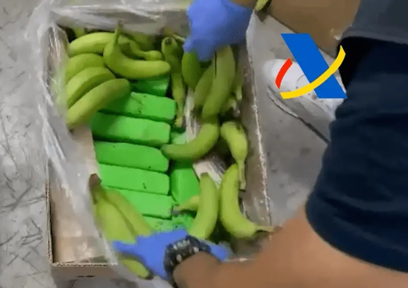 Policías de España y Colombia decomisan 600 kilos de cocaína escondidos en bananos