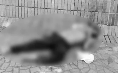 Hombre en condición de calle murió en pleno parque del centro de Neiva
