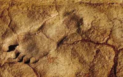 Encuentran la huella más antigua de un ‘Homo sapiens’
