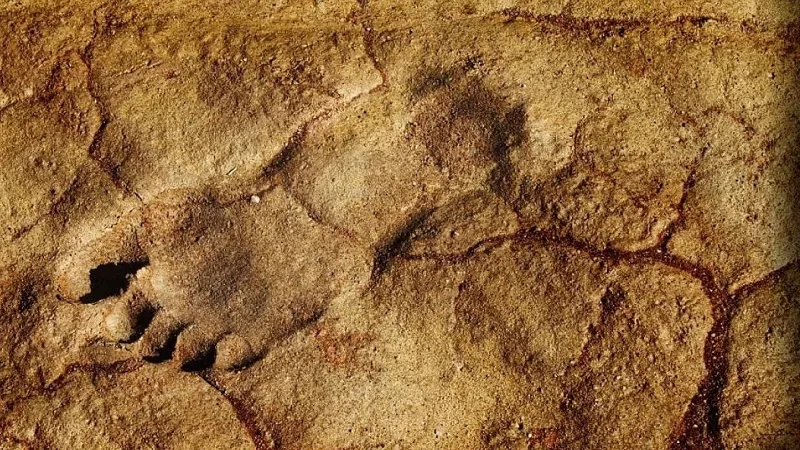 Encuentran la huella más antigua de un ‘Homo sapiens’